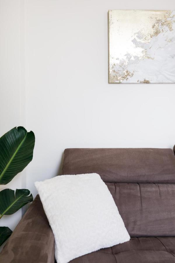 Bright And Elegant Renovated Two Rooms - Near Suquet Cannes Dış mekan fotoğraf